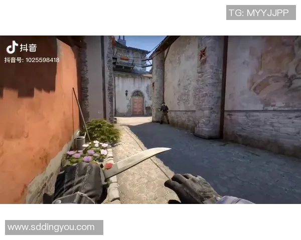 探索刘敏的CSGO人生背后的故事与成长历程