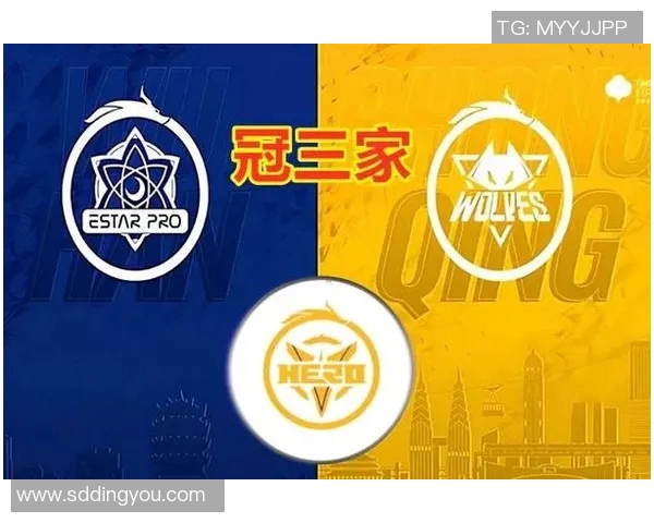 esports最新数据电竞比分深度对话张磊探寻王者荣耀背后的成长与挑战